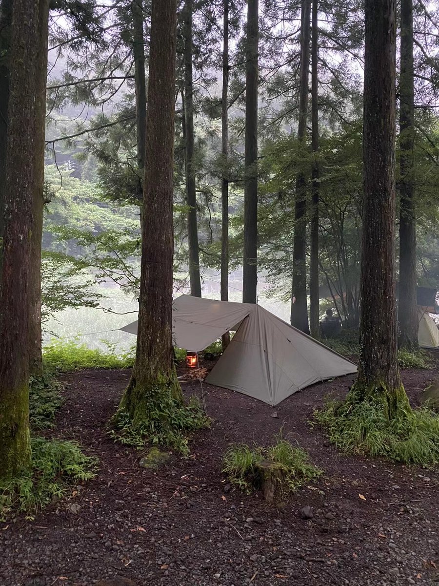 DRAGON HORSE（ドラゴンホース）TCタープ 4m×4m 煙突ポート 公式