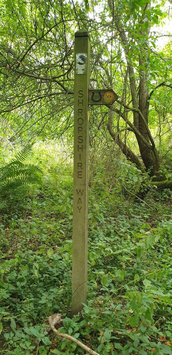 chrisjay tweet media