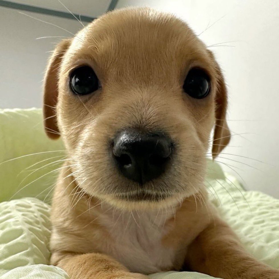 너어디출신귀여워야