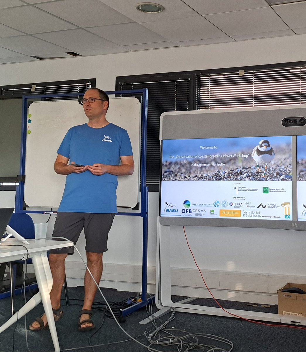 The workshop "Conservation of coastal-breeding plovers" starts. At the <a href="/WaderStudy/">Wader Study</a> Conference 
#IWSG2024 in Montpellier #IWSG_conf. Introduction by <a href="/d_cimiotti/">Dominic Cimiotti</a> from <a href="/nabu_MOIN/">Michael-Otto-Institut im NABU</a>