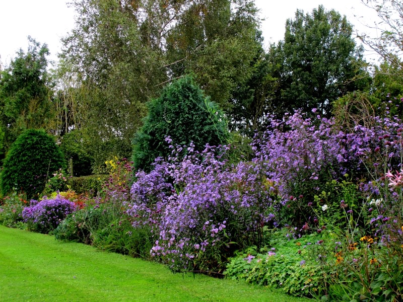 OPEN SUNDAY 22nd SEPTEMBER 10-4pm
Firs Farm
Hoop Lane, Langton-by-Wragby, LN8 5QB
Medium sized garden,herbaceous borders dahlias. Pond, vegetables,wooded area,beautiful woodland walks.Perimeter walk 1m suitable for well behaved dogs on leads. #NGS #opengarden #visitlincolnshire