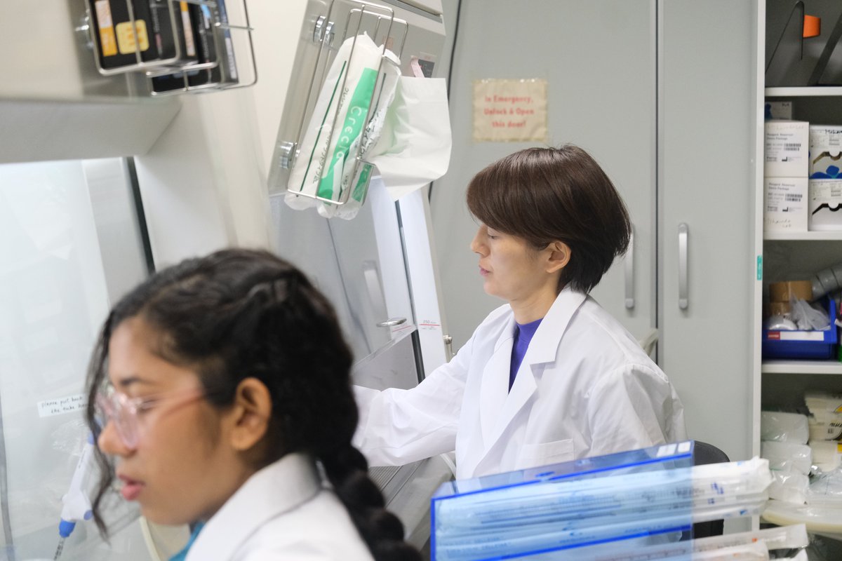 IRCMS, Kumamoto University (@ircms_ku) on Twitter photo Dr. Miharada (<a href="/MiharadaL/">Miharada Lab 三原田研究室 (熊本/Lund)</a>) and Ms. Saha are hard at work in the lab! 👩🔬✨
#IRCMS #kumamotouniversity Dr. Miharada (<a href="/MiharadaL/">Miharada Lab 三原田研究室 (熊本/Lund)</a>) and Ms. Saha are hard at work in the lab! 👩🔬✨
#IRCMS #kumamotouniversity