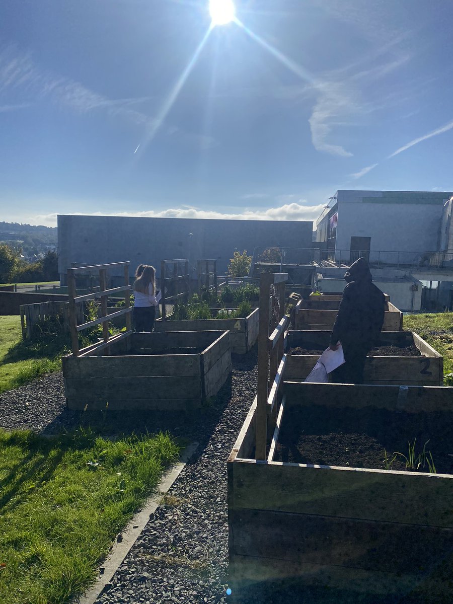 Our S1 classes have been doing some outdoor learning this week, thinking about different autumnal colours, shapes and objects. All in French of course! 🇫🇷

What a great start to Season of Creation and our Harvest celebrations. 

<a href="/_stcolumba/">St.Columba's HS, Gourock</a> #article31 #seasonofcreation #LfS