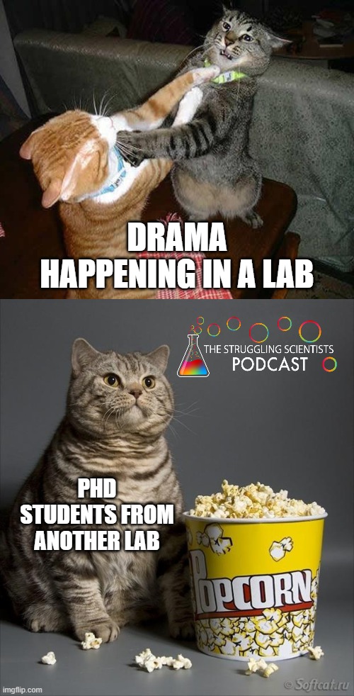 Admit it!

You love watching/hearing about drama elsewhere 😅