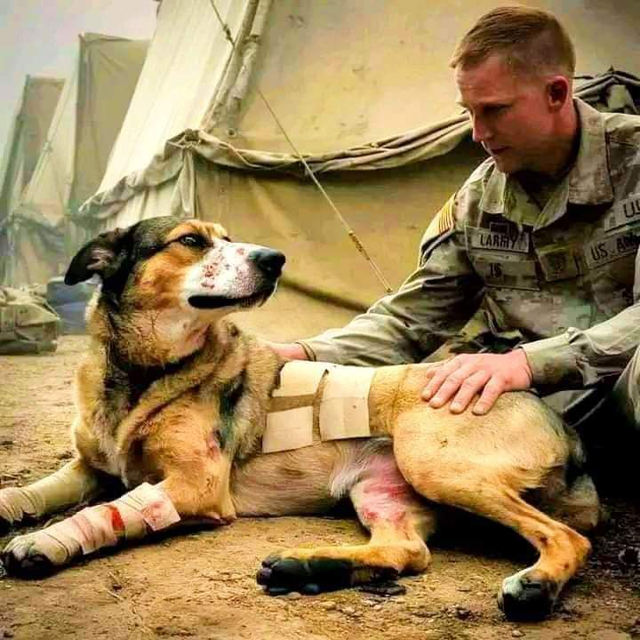 10 years of service Please don't move around without giving him some love ❤🙏