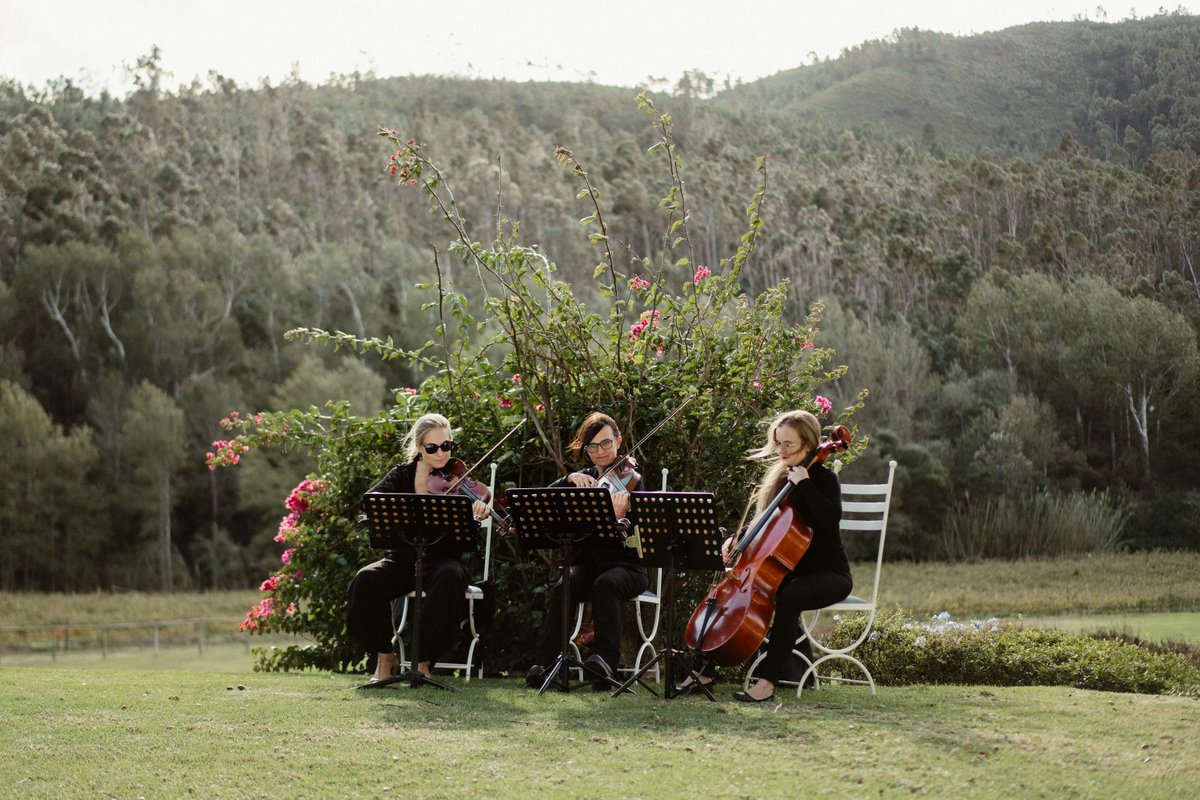 Shout Music Company tweet media