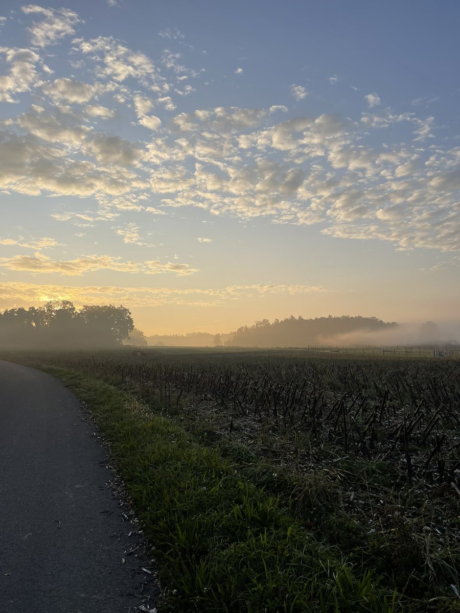 redtestwine's tweet photo. #AutumnMist ที่กลางทุ่ง
#Trüllikon #Switzerland https://t.co/YVnexocVBL
