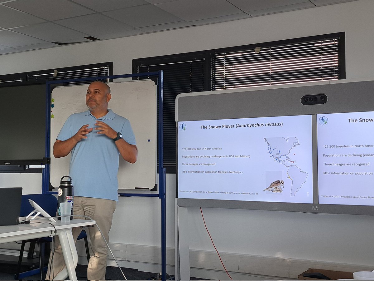 Miguel A. Gómez-Serrano (@gomezserrano_ma) on Twitter photo Population Session. <a href="/medardonivosus/">Medardo Cruz</a> talks about the Ceuta Snowy Plover Project: Insights from a long-term study of a breeding population in northwest Mexico. "Conservation of coastal-breeding plovers" workshop. <a href="/WaderStudy/">Wader Study</a> Conference #IWSG2024 in Montpellier #IWSG_conf. Population Session. <a href="/medardonivosus/">Medardo Cruz</a> talks about the Ceuta Snowy Plover Project: Insights from a long-term study of a breeding population in northwest Mexico. "Conservation of coastal-breeding plovers" workshop. <a href="/WaderStudy/">Wader Study</a> Conference #IWSG2024 in Montpellier #IWSG_conf.
