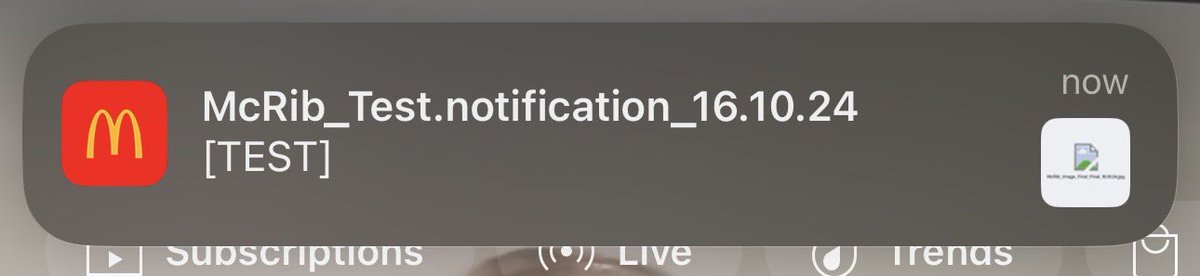 ercsctt's tweet image. Even maccies tests in prod 💪