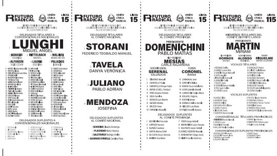 Bancamos la Lista 15, bancamos ideas no personas , quiero un radicalismo lejos de los populismos K y LLA