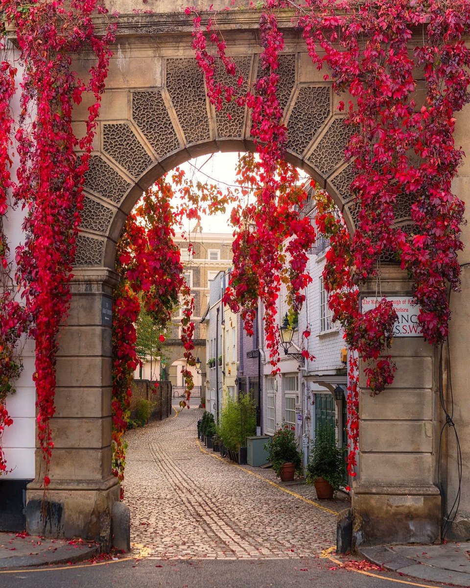 The prettiest spots in the UK to see falling autumn leaves change colour. 🍂condenasttraveller.visitlink.me/FLTBrZ