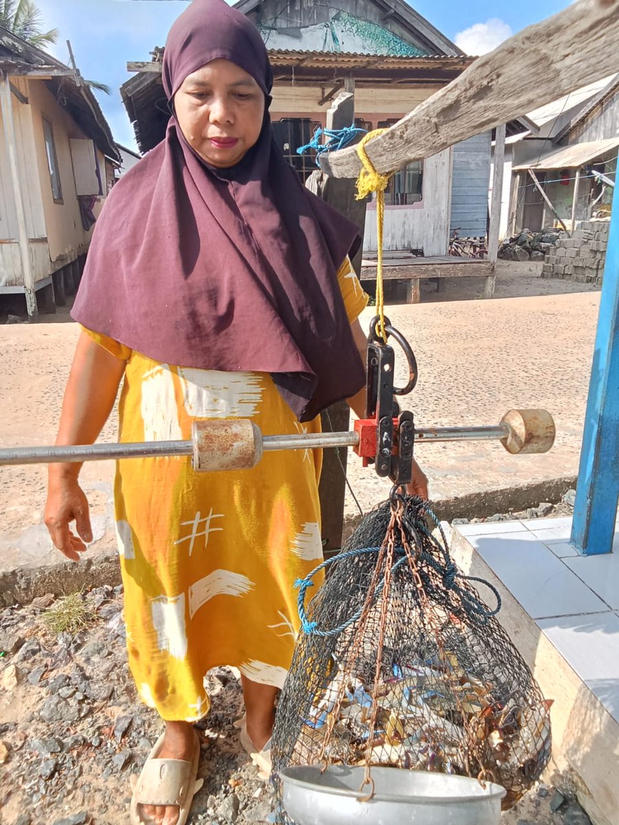 PiRominah's tweet photo. Jumat 20 Sep 2024 Monitoring produksi hasil tangkapan Rajungan bapak abdul hamid anggota kub Mata Pancing desa Satui Barat kec Satui Sebanyak 47,5 kg dengan harga Rp.35.000/kg
#LuhkansatminkalBWI 
#Luhlapor 
#KabTanahBumbu 
#bppsdm_kp https://t.co/ixVRGotdvx