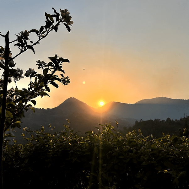 If you're dreaming of a peaceful escape in the lap of nature, The Himalayan Living Homestay in Nainital is the ultimate retreat you need to explore.

Book your homestay with airhomestays.com