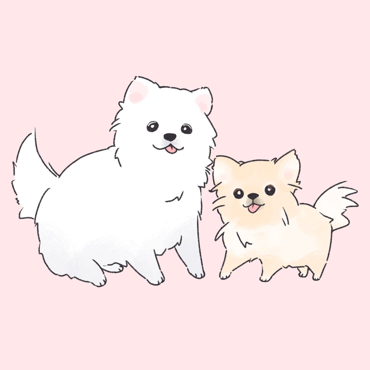 🐻‍❄️🐶
#内田秀