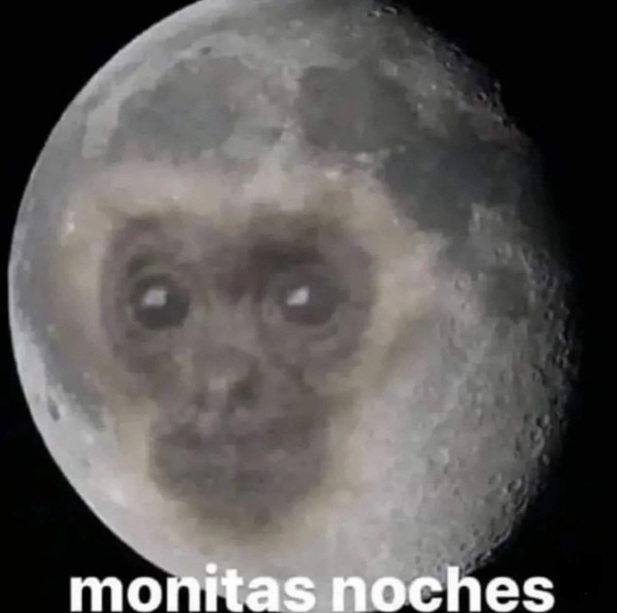 Guarromantico_'s tweet image. Monitas.