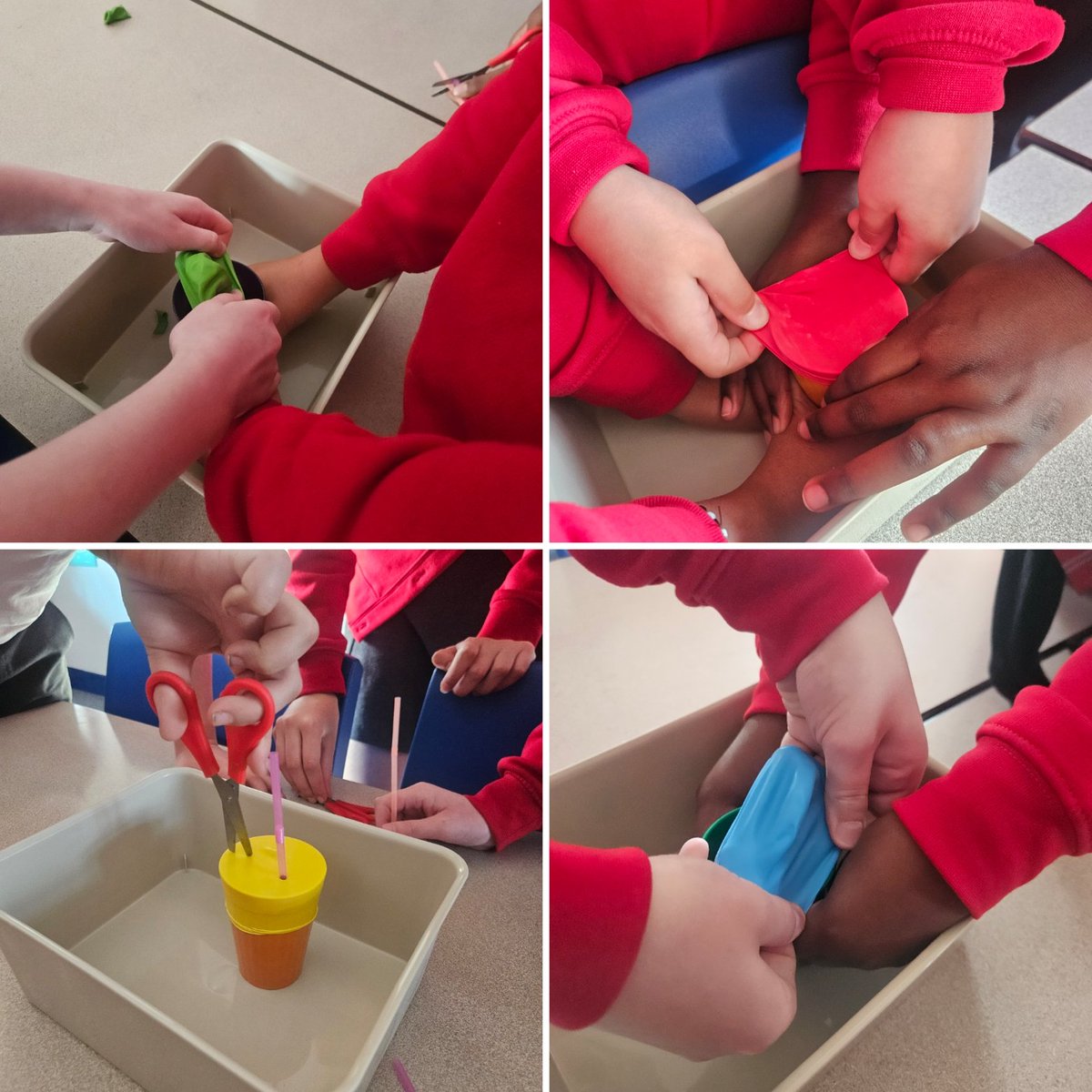 St Finbar's - Year 6 - Rose Class tweet media