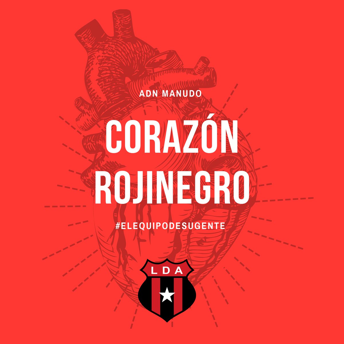 ¡Por si quedan dudas!
¡Este corazón es rojinegro! 🖤❤️
.
.
.
.
.
#ADNManudo #Soymanudo #Liga #LDA #manudo #liguista #Alajuela #rojinegro #LigaLiga #LigaDeportivaAlajuelense #Quelindosermanudo #manudoorgulloso #manudodesdelacuna #CAR #Alajuelense #Leónes #fútbol #rojinegroquerido