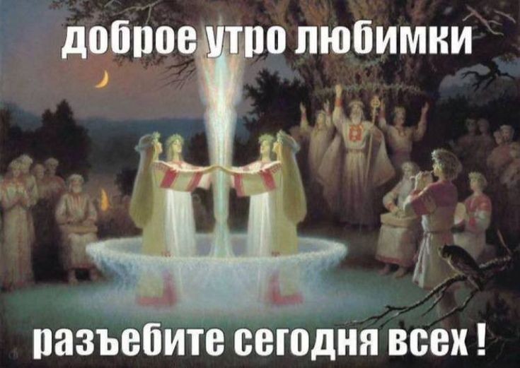 нежная tweet media