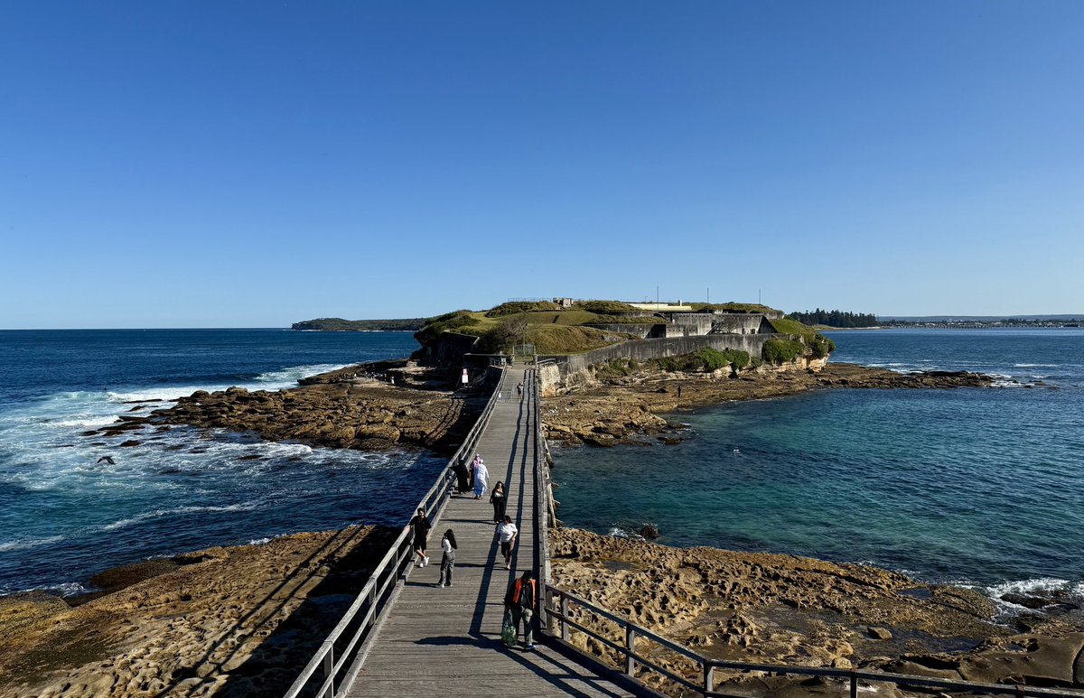 Leah J. Williams tweet media