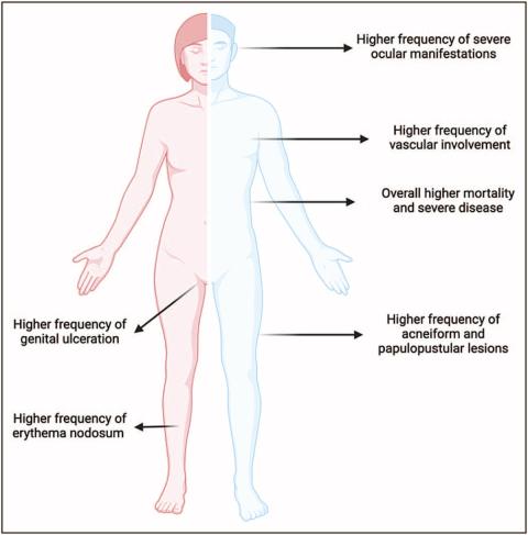 Romatolojinin önemli derleme dergilerinden birisi olan "Current Opinion in Rheumatology"de çocukluk çağı başlangıçlı Behçet hastalığı ile ilgili bildiklerimizi, bu güzel ülkeden öğrendiklerimizi ve bilimsel veriye kattıklarımızı Mehmet Yıldız ve Oya Köker ile birlikte paylaştık.