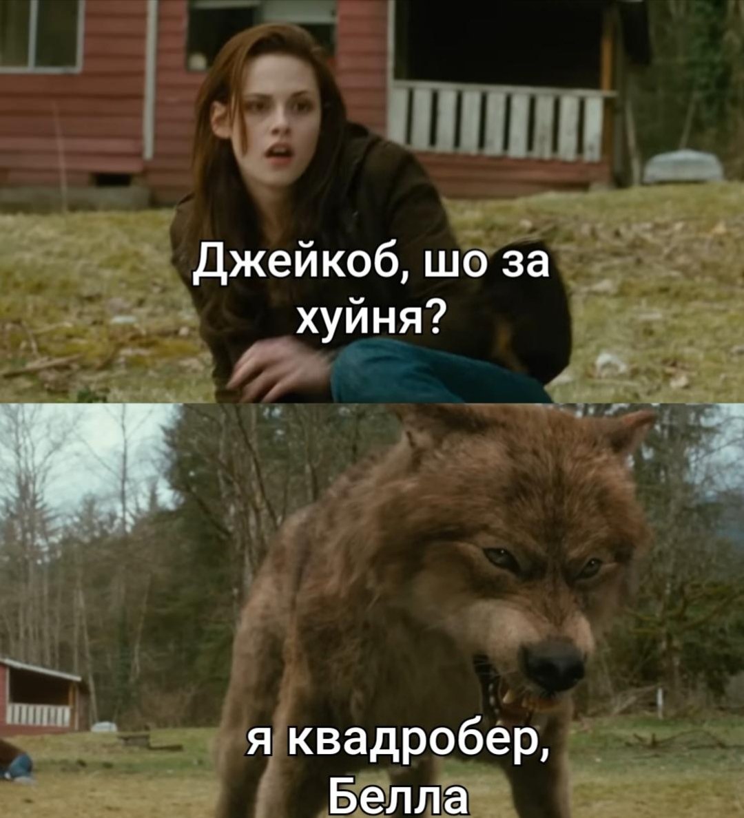 Сумське Бидло (@sumybydlo) on Twitter photo 