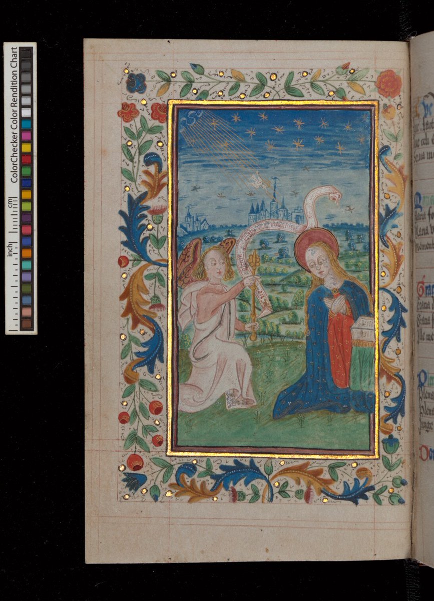 Sophie Bacchus-Waterman tweet media