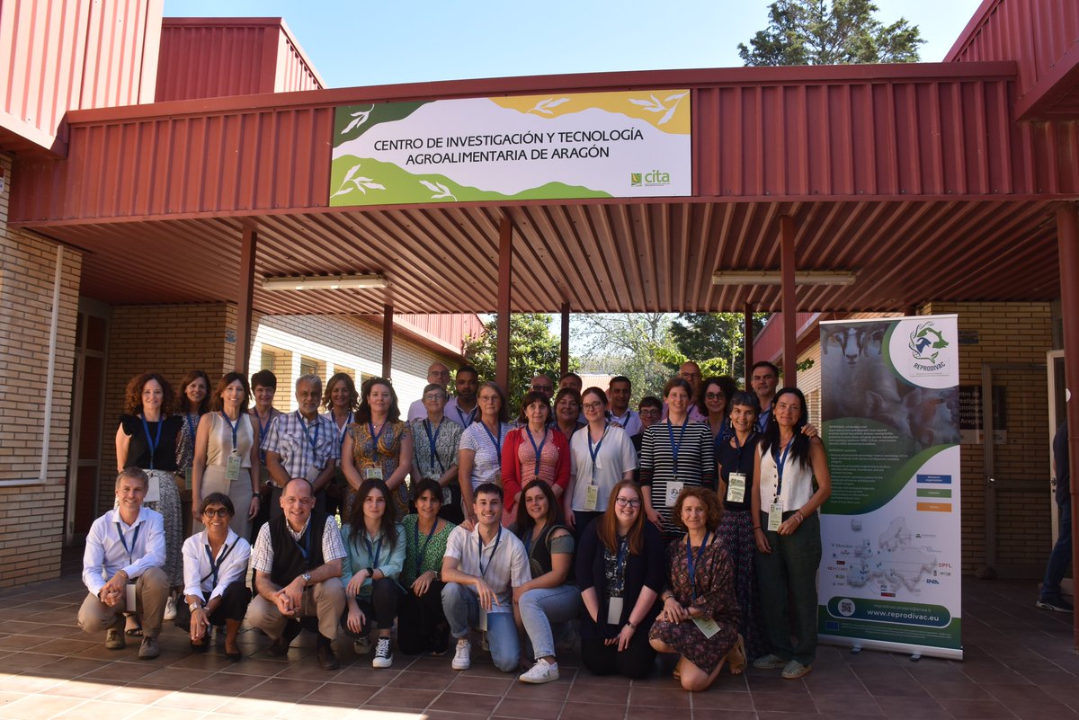 REPRODIVAC EU Project (@reprodivac) on Twitter photo The REPRODIVAC Annual Meeting was held on 10-11 September 2024 <a href="/CITAAragon/">CITA Aragón</a> , with a great participation of all European partners. A great opportunity to discuss the results obtained and plan future experiments. Thank you to the extraordinary organization of <a href="/CITAAragon/">CITA Aragón</a> The REPRODIVAC Annual Meeting was held on 10-11 September 2024 <a href="/CITAAragon/">CITA Aragón</a> , with a great participation of all European partners. A great opportunity to discuss the results obtained and plan future experiments. Thank you to the extraordinary organization of <a href="/CITAAragon/">CITA Aragón</a>