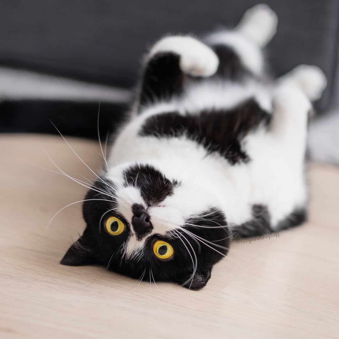 Turning the post-bonding dump around and flipping this on it's head!

Already halfway there!
Get in with all your $HEART!
CA:
4PktBf5snExUyxZr38i5aupto8ZxkKirHCgKz6poGkN7