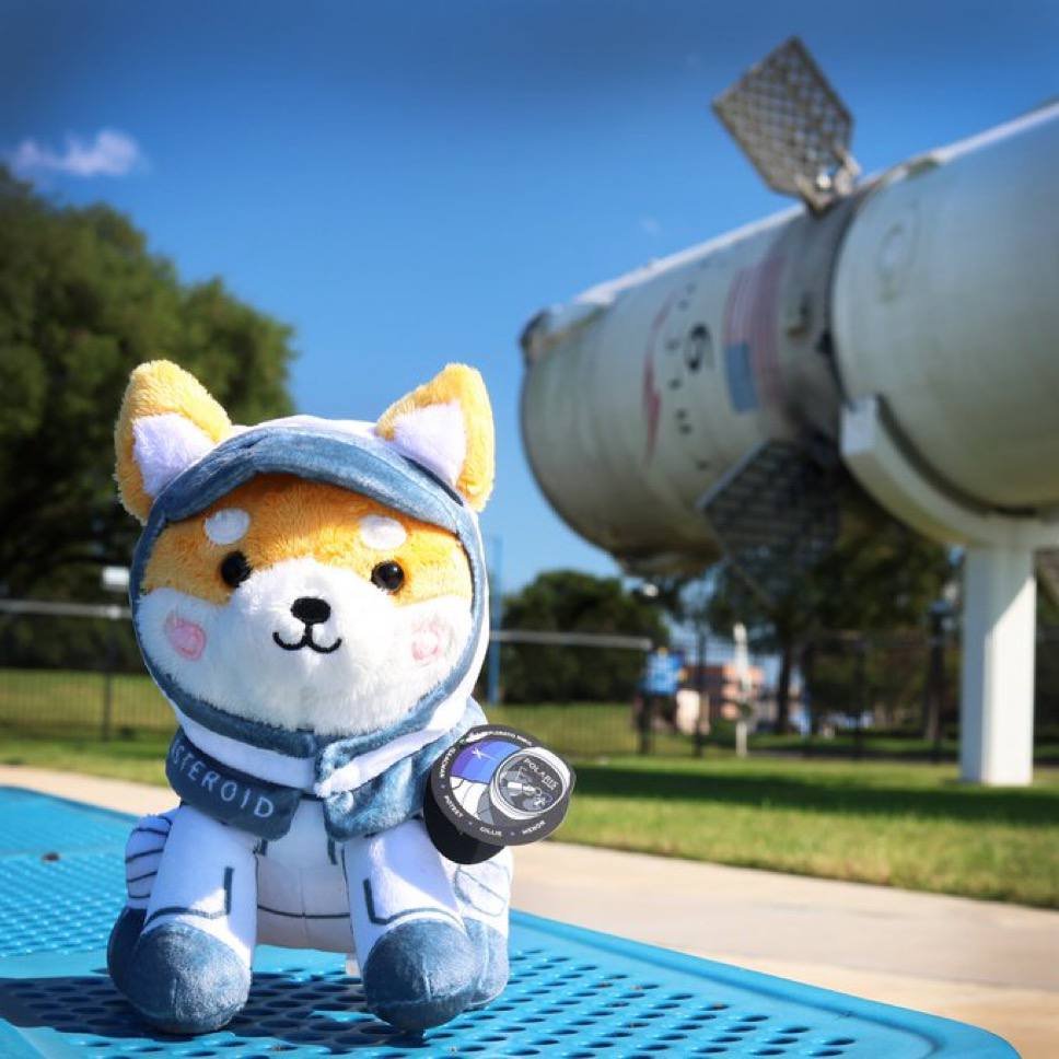 tanjo_k's tweet photo. @bull_bnb u know #ASTEROID Elon Musk' dogs https://t.co/5ICYg3QOIq