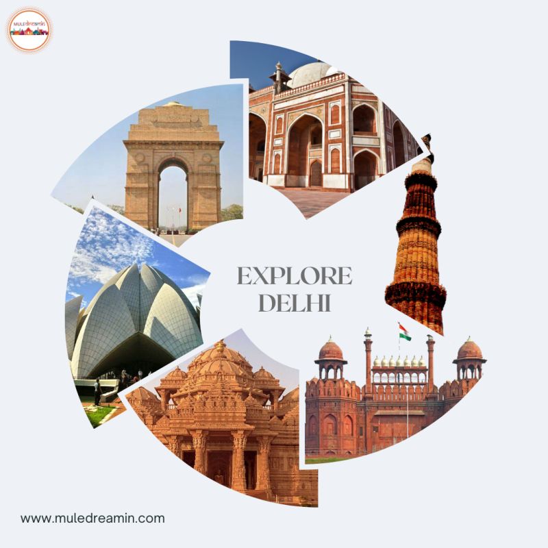 Mule Dreamin tweet media