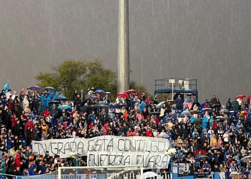 clara abel tweet media