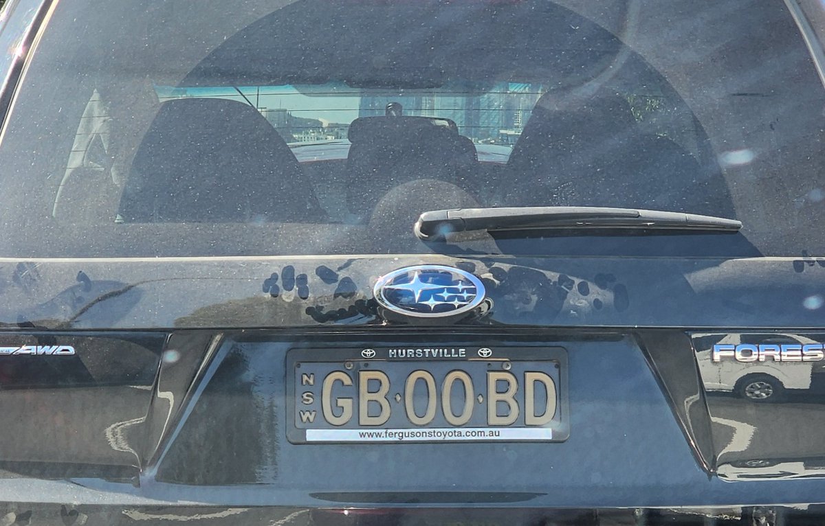 Jen Carnovale tweet media