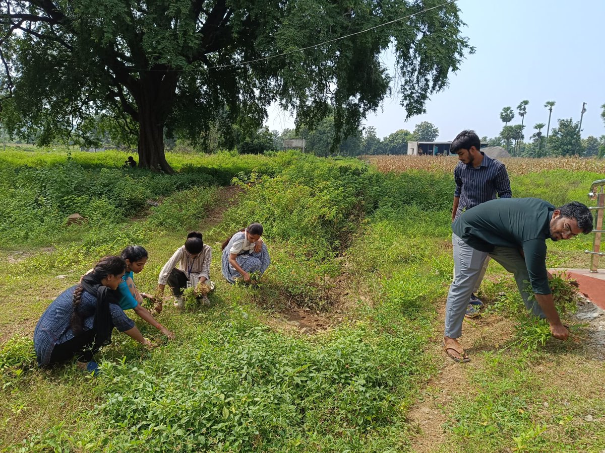 svvetvarsity's tweet photo. On the occasion of "Swachata Seva Campaign (17.09.24 to 02.10.24)" and NSS day weekly celebrations @ CVSc Garividi the following programs were conducted today under the chairmanship of Dr. Makkena Sreenu, Associate dean sir. https://t.co/6iltaS9WPj