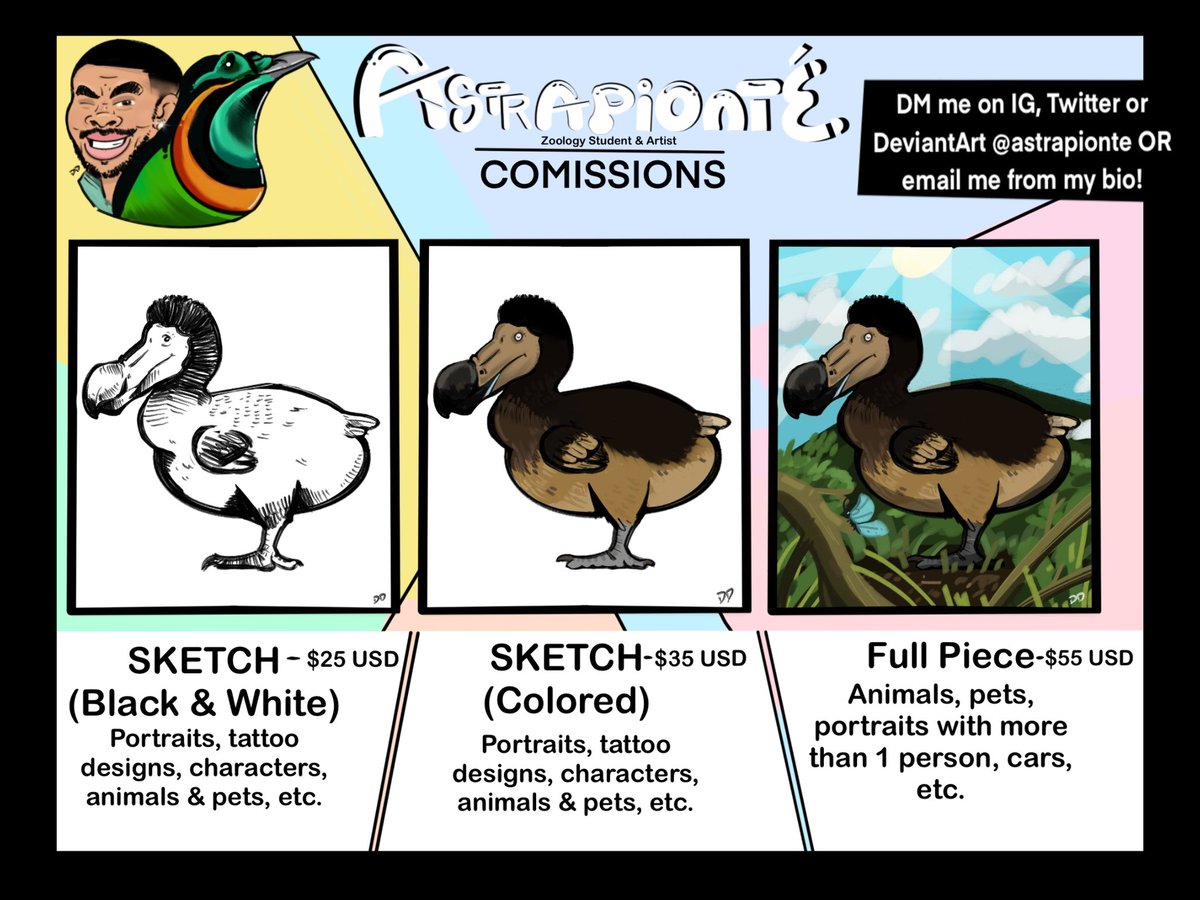 astrapionte's tweet image. Hey, y’all! Commissions are open indefinitely. I would love to work with you to bring a lil something something to life. 🤠

Please check out my comms info here and read my procedure. Thank all of you in advance! XD

#art #ArtistOnX #paleoart #dodo #artistic