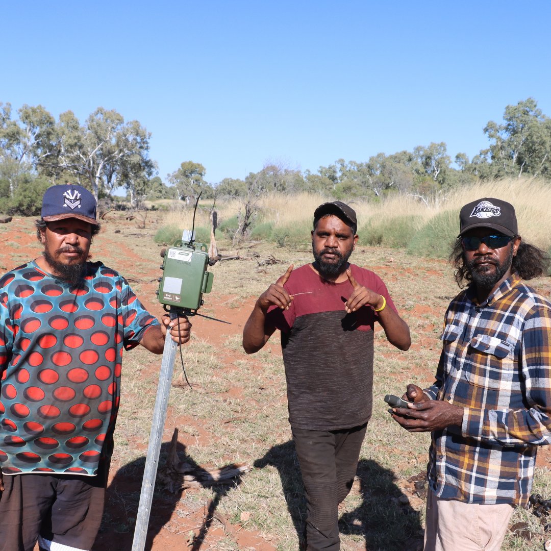 KJMartu's tweet photo. 🦜🌙 #KJMartuRangers headed out on-Country to retrieve a sound recorder capturing the calls of the elusive #Ngarrijirri (#NightParrot). This data will help us learn more about these endangered nocturnal birds. #IndigenousConservation #CaringForCountry #MartuCountry #TwoWayScience https://t.co/WQ5WEoOHNm