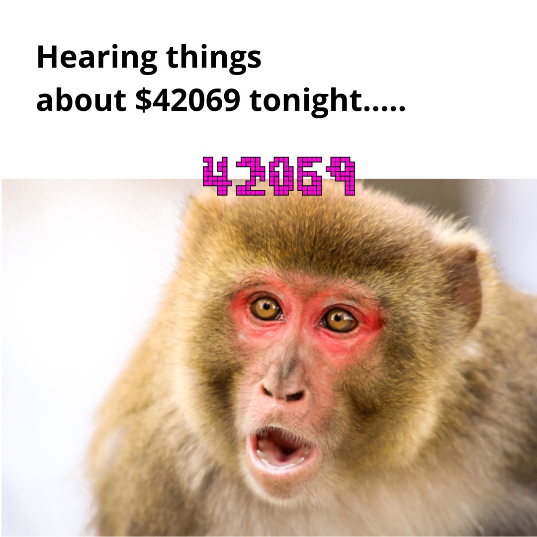 42069ERC20's tweet photo. Hearing things....hearing something....tonight. https://t.co/ICNuKviqlj