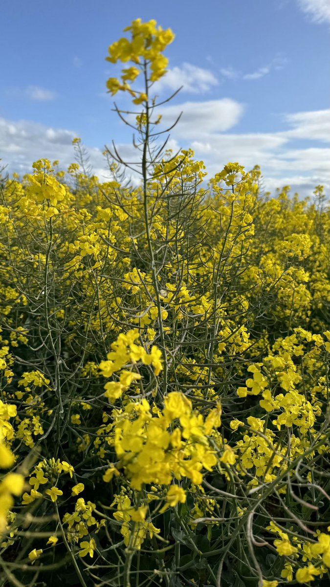 Is has been a tough week for many as Mother Nature reminds us who is in control. Look after yourself, stay warm and phone a friend if needed. #frost #wind #rainneeded #plant24