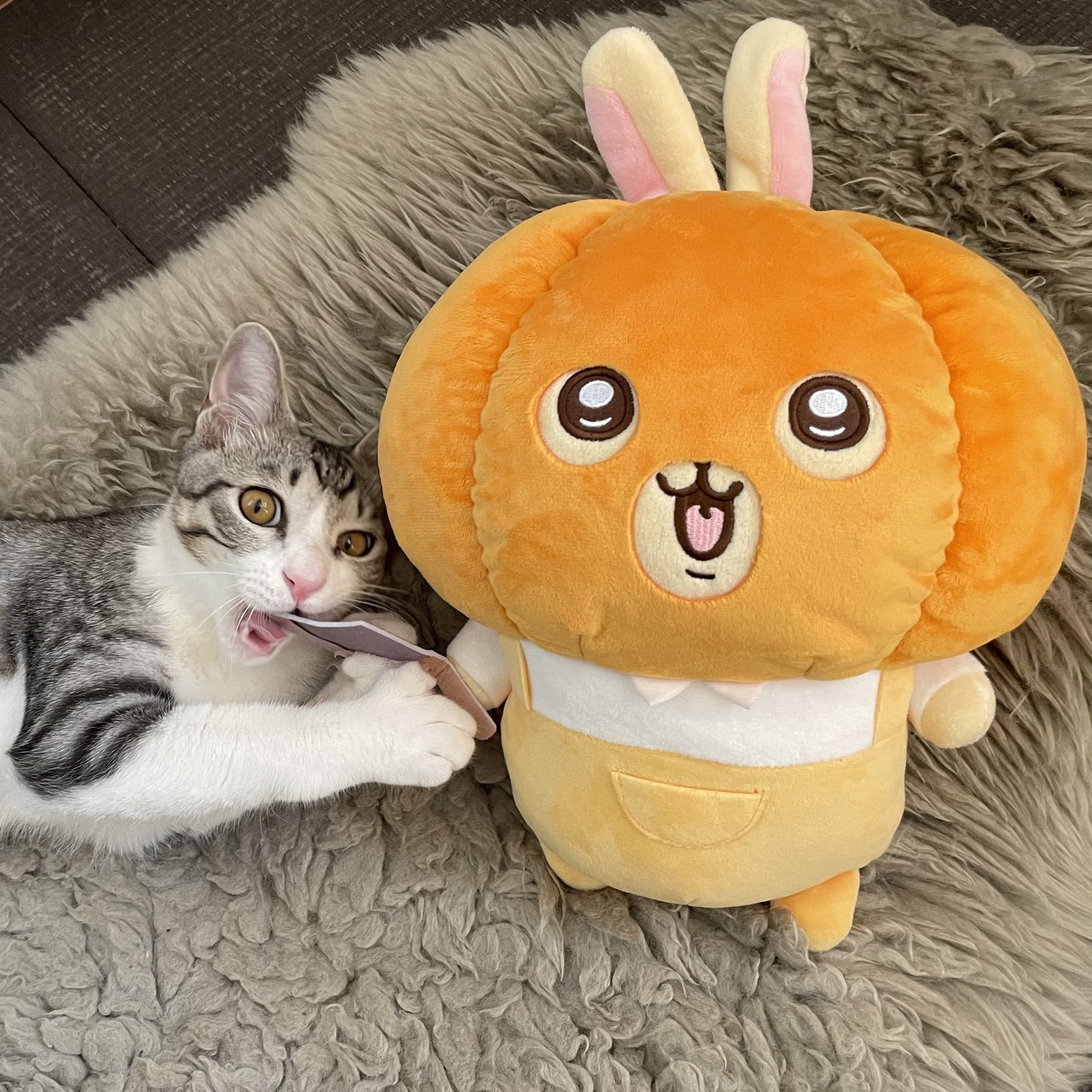 かぼちゃなうさぎ ちいかわ うさぎ・モモンガ カボチャBIGぬいぐるみ | 商品紹介