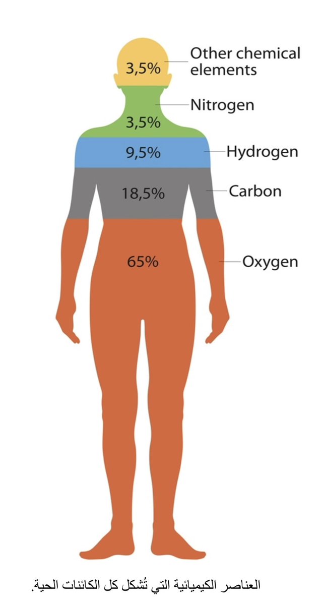 ليست الحياة سوى تعقيد كيميائي .. 

{إن المادة الموجودة داخل جسم كل كائن حي سواء كان بكتیریا أو طائر أو سمك أو قرنبیط أو سعدان أو إنسان، تتكون بشكل رئیسي من أربعة عناصر كیمیائیة: الھیدروجین، الأوكسجین، الكربون، والنیتروجین، وھي من أكثر العناصر وفرة على كوكب الأرض. وھناك نسب قلیلة
