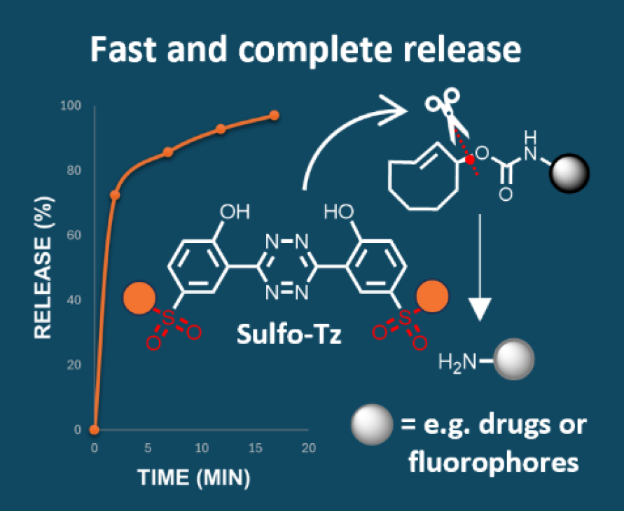 IOCBPrague's tweet image. #research #bioorthogonal #clickchemistry
Sulfonated Hydroxyaryl-Tetrazines with Increased pKa for Accelerated Bioorthogonal Click-to-Release Reactions in Cells (Vrábel) - @angew_chem: doi.org/10.1002/anie.2…
@IOCBPrague @CzechAcademy @tu_wien