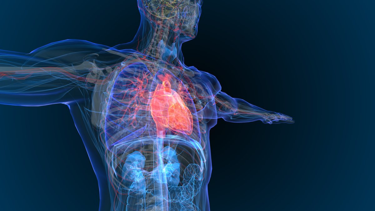 Insel Gruppe (@inselgruppe) on Twitter photo Exciting news: Meta-analysis in <a href="/JAMA_current/">JAMA</a> by <a href="/chrisgraeni/">Christoph Gräni</a> #InselGruppe <a href="/unibern/">Universität Bern</a> shows #whyCMR is crucial for #NIDCM outcomes! Read more: jamanetwork.com/journals/jama/…
<a href="/MedFacultyUniBE/">Faculty of Medicine, University of Bern</a>
<a href="/DrChrisEichhorn/">Dr Christian Eichhorn</a>
<a href="/isaacshiri/">Isaac Shiri Lord</a>
<a href="/DrMArdissino/">Maddalena Ardissino</a>
<a href="/jens_eckstein/">Jens Eckstein</a>
<a href="/Rkwong/">Raymond Kwong</a> Exciting news: Meta-analysis in <a href="/JAMA_current/">JAMA</a> by <a href="/chrisgraeni/">Christoph Gräni</a> #InselGruppe <a href="/unibern/">Universität Bern</a> shows #whyCMR is crucial for #NIDCM outcomes! Read more: jamanetwork.com/journals/jama/…
<a href="/MedFacultyUniBE/">Faculty of Medicine, University of Bern</a>
<a href="/DrChrisEichhorn/">Dr Christian Eichhorn</a>
<a href="/isaacshiri/">Isaac Shiri Lord</a>
<a href="/DrMArdissino/">Maddalena Ardissino</a>
<a href="/jens_eckstein/">Jens Eckstein</a>
<a href="/Rkwong/">Raymond Kwong</a>