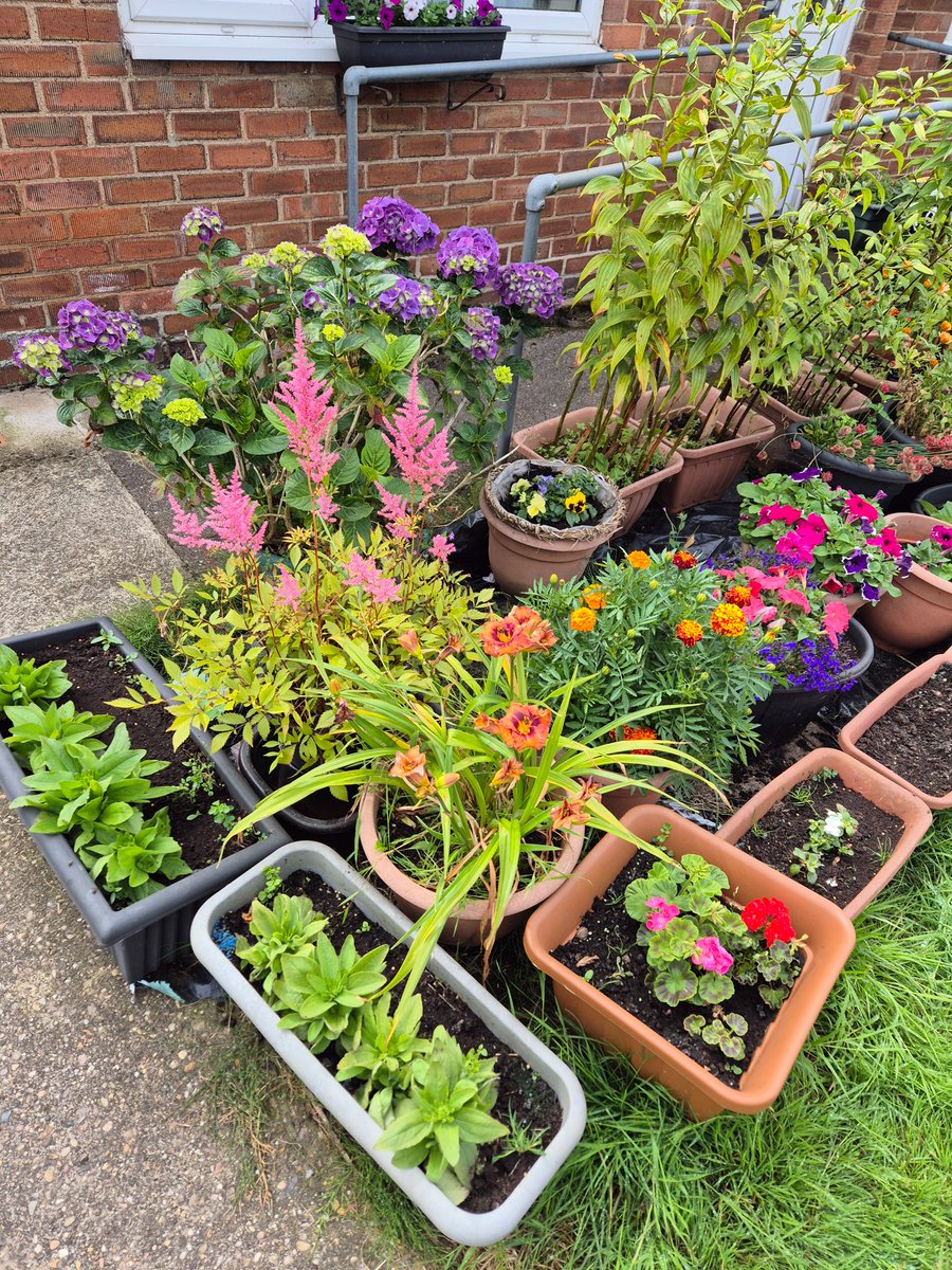 HCCTPT's tweet photo. On this Fantastic Friday, here is the second installment of brilliant gardens that have been awarded the best of the best, outstanding or highly commended in the East area of the City.  @HCCEastArea https://t.co/jrH7eVKxie