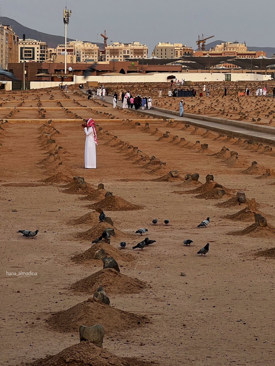 اللهم اغفر لأهل بقيع الغرقد ، وارحم أمواتنا وأموات المسلمين أجمعين