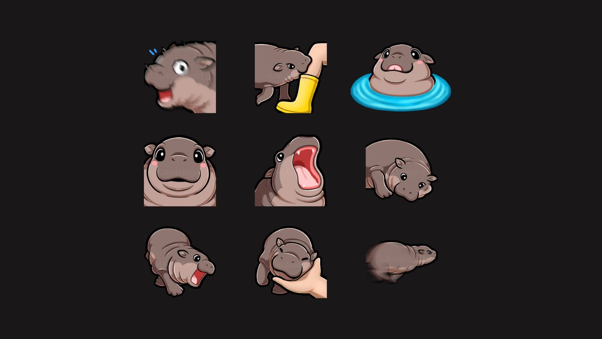 iUkuleleGirl's tweet image. 💕🦛Moo Deng to bless your timeline today 🦛💕