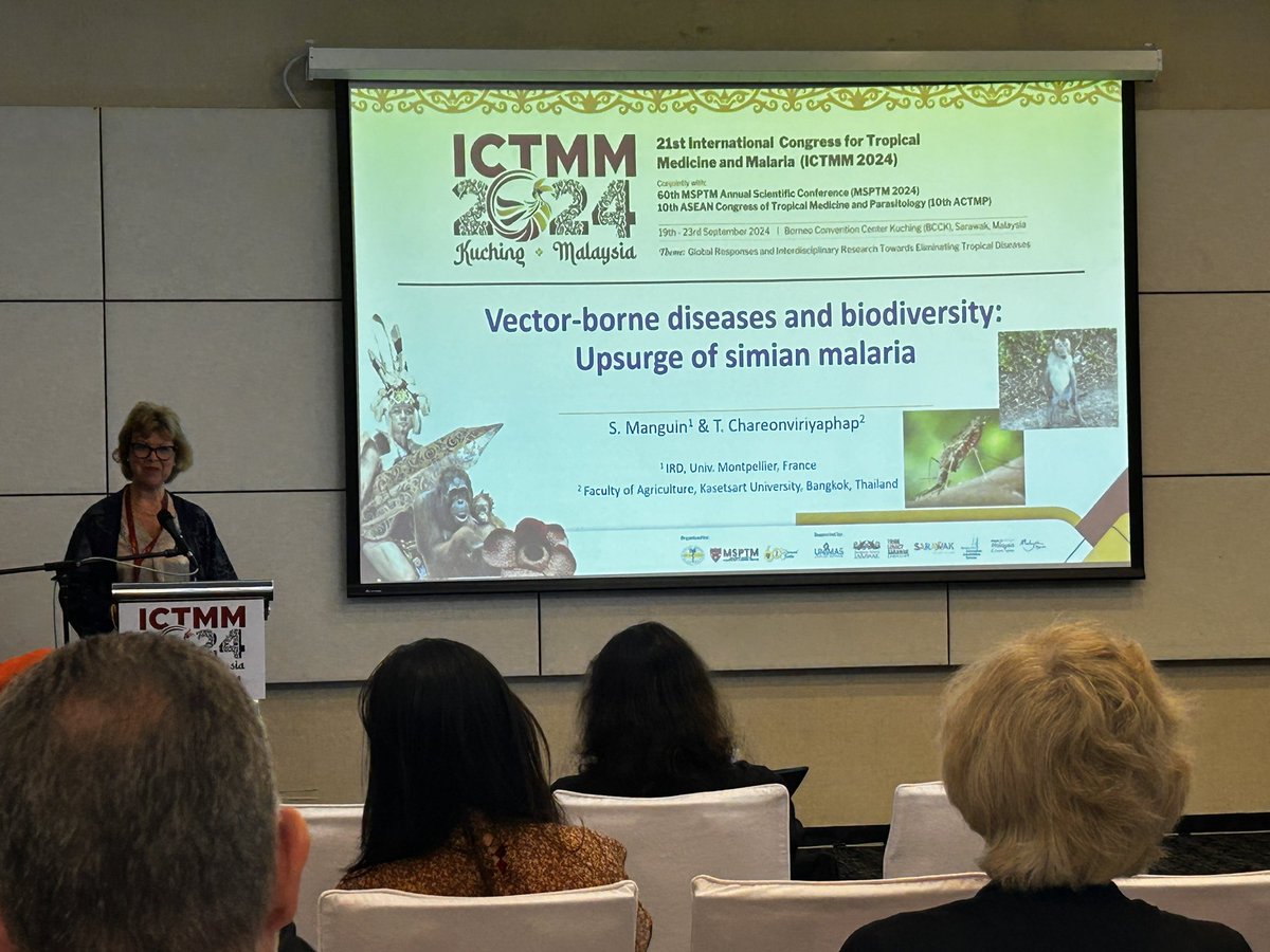 Simian malaria a very popular topic at #ICTMM2024, Sylvie Manguin now speaking on it and relating it to changes in land-use and biodiversity