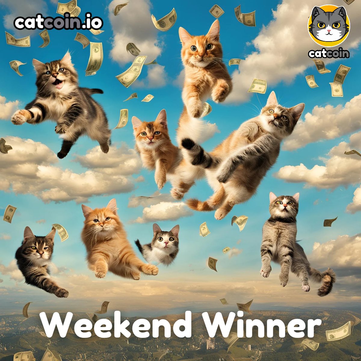 Official Catcoin tweet media