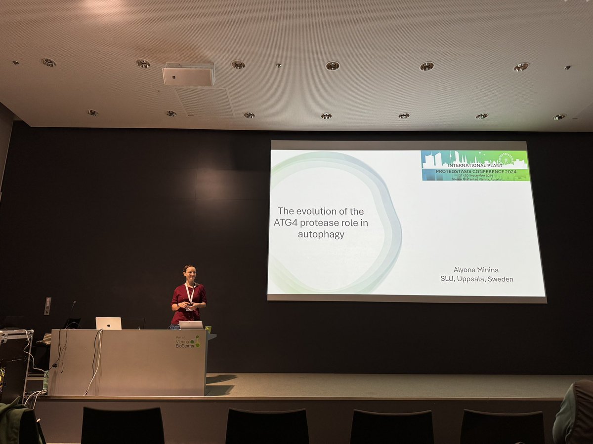 SuayibUestuen's tweet photo. We start the last day with @minina_alyona who will talk about the evolution of ATG4 protease role in #autophagy #IPPC24 https://t.co/4G21rYsaZu