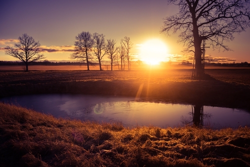 'Finally, we can say with a great degree of certainty that the future is bright for this amazing sector, full of brilliant people.' Read this week's Funds Crescendo, by Head of Fund Management Ben Conway. hawksmoorim.co.uk/research/artic…