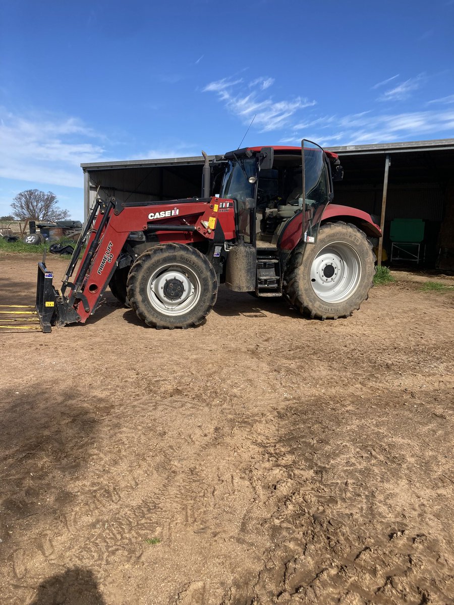 Jock Mort tweet media