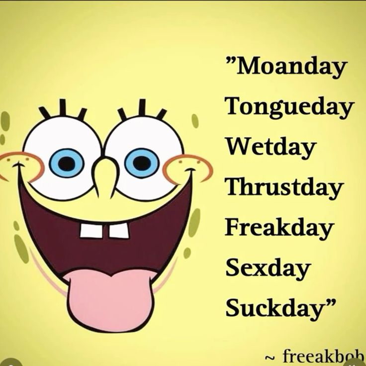 Michelangelo tweet media